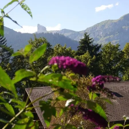 Birkli 2, 2 Bett Wengen