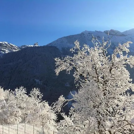 Apartment Birkli 2, 2 Bett Wengen