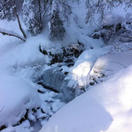 Birkli 2, 2 Bett * Wengen
