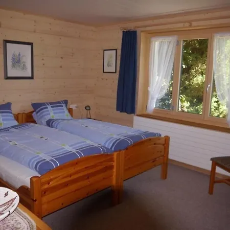 Apartment Birkli 2, 2 Bett