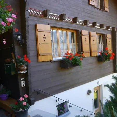 Birkli 2, 2 Bett Apartment Wengen